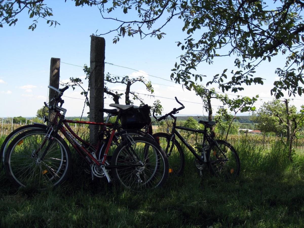 Ferienwohnungen Eichenhof Kapellen-Drusweiler Exterior foto