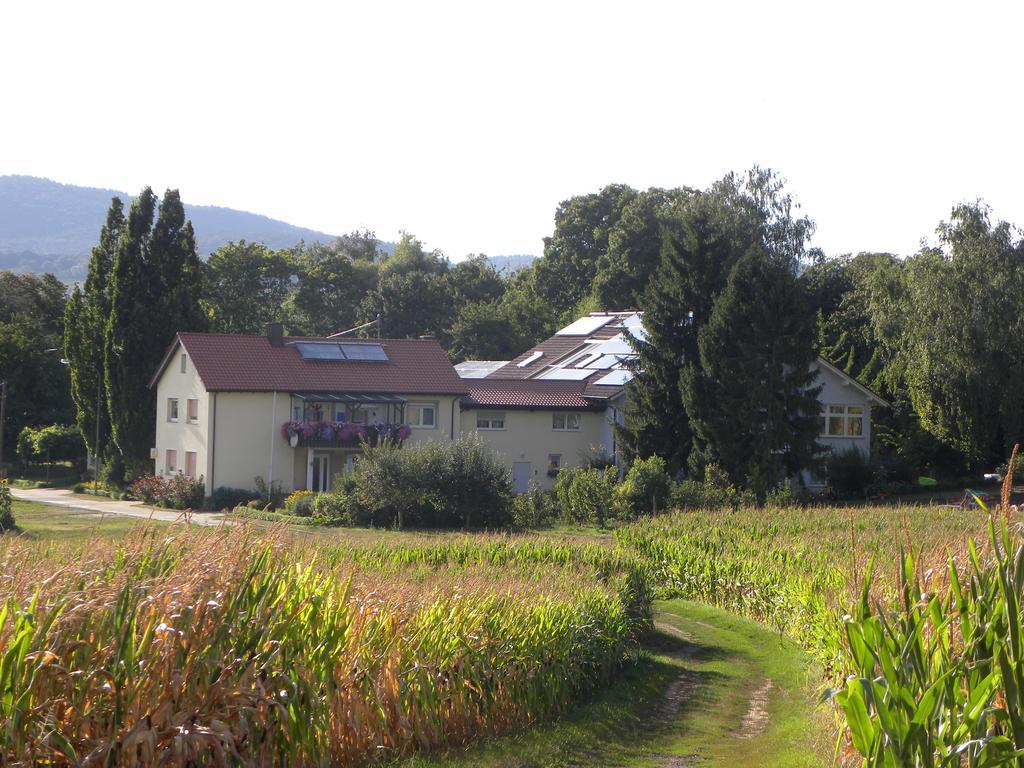 Ferienwohnungen Eichenhof Kapellen-Drusweiler Exterior foto