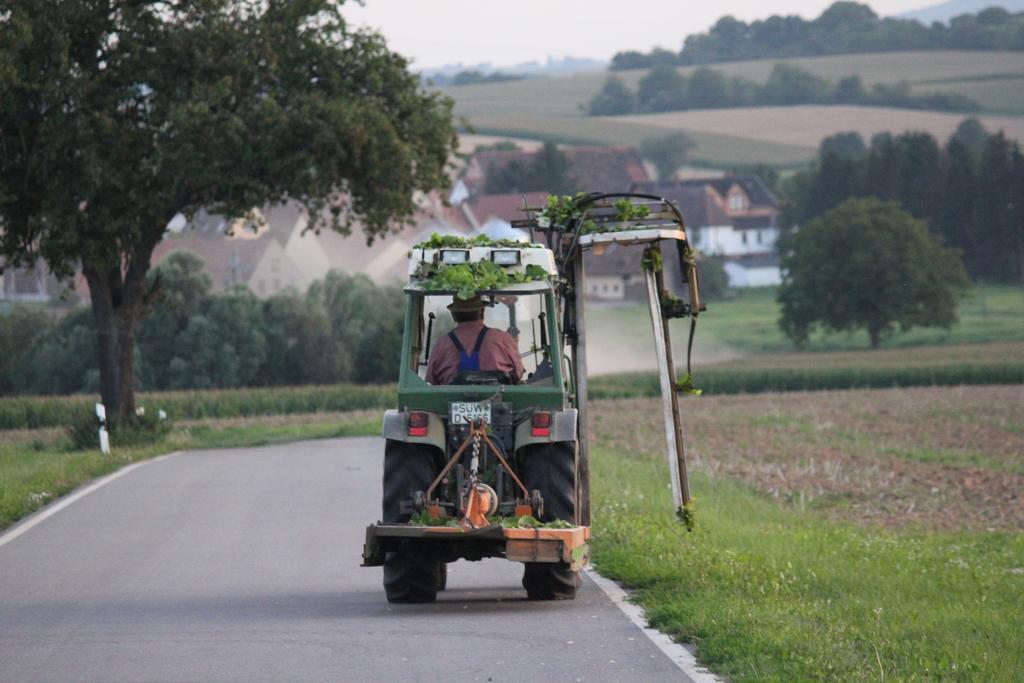 Ferienwohnungen Eichenhof Kapellen-Drusweiler Exterior foto